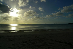 Badu Island Lilly Beach
