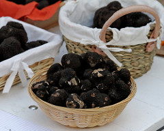 Black truffles, Périgueux
