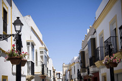 Rota