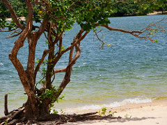Praia de Alter do Chão Santarém Pará Norte Amazonia Brasil Aquifero Alter do Chão