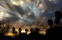 Salto sky