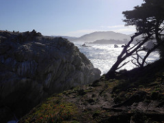 Point Lobos State Reserve