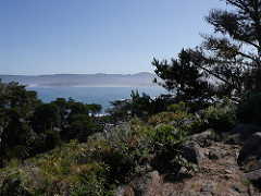 Point Lobos State Reserve