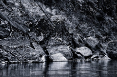 photo contest - Marco Meijer - Reflections