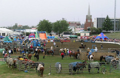 Wanganui Rodeo 2005