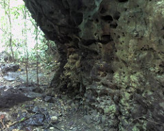 Biak na Bato