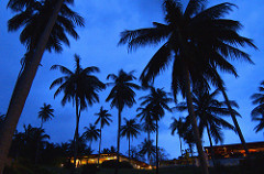 Koh Samui (THAILAND/LANDSCAPE) I