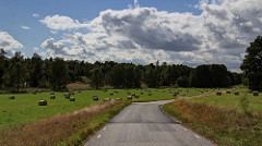 Rörvik