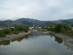 Nelson