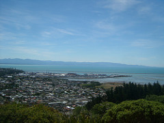 Nelson