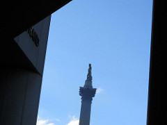 Nelson