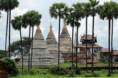Bagan Temples under Palm Trees