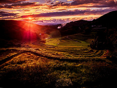PhoTones Works #7029