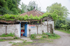 Eregli_CAN3381