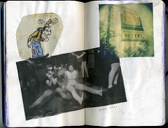 bikini kills. moleskine