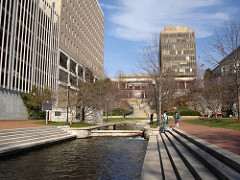 DSC00184.JPG