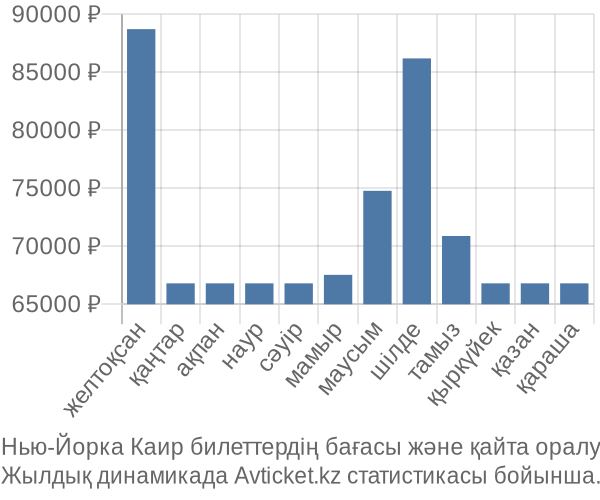 Нью-Йорка Каир авиабилет бағасы