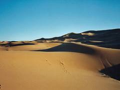 Sahara dune