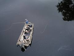 Fly fishermen on the Chippewa