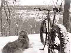 Chippewa River Overlook at Northwest Park