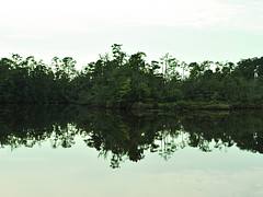 Biloxi River