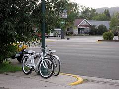 White Bikes White Bikes