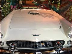 'Thunderbird Ford' Insignia -- Bulls & Bears Restaurant and Pub Hagerstown (MD) 2015