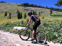Sun Valley 015