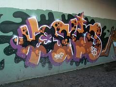 Hoskins