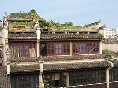 IMG_4509 IMG_4509