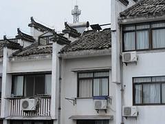 IMG_4694 IMG_4694
