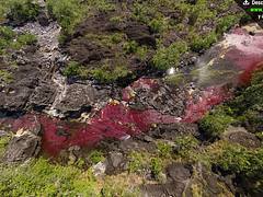 Impresionante panorámica aérea Caño Cristales Impresionante panorámica aérea Caño Cristales