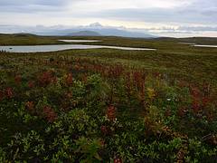 Izembek National Wildlife Refuge