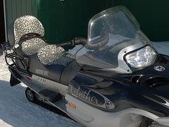 Roxanne's snow machine