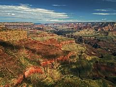 Grand Canyon Grandview Grand Canyon Grandview