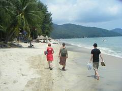 Tropical beach Tropical beach