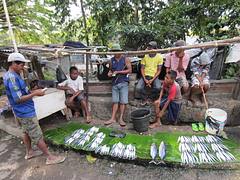 Fish Market Fish Market