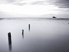 Serene Scape Serene Scape