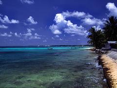 Tuvalu - Funafuti - Beach #2 Tuvalu - Funafuti - Beach #2