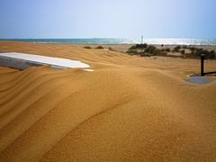 Dunes Dunes