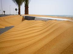 Dunes Dunes