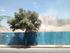 Surviving the dust