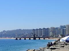 Viña '14