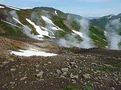 Steam Fumarole Field