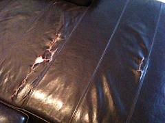 The two rips in my couch.  (Anyone want to buy it?)