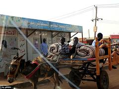 Peering into each other (Donkey transport in Khartoum, Sudan)