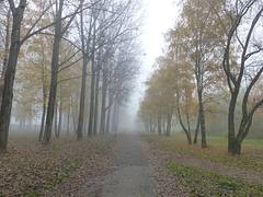 Kosice, Slovakia - Jazero district in the fog Kosice, Slovakia - Jazero district in the fog
