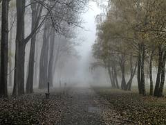 Kosice, Slovakia - Jazero district in the fog Kosice, Slovakia - Jazero district in the fog
