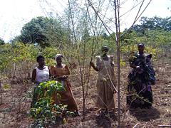 Kyankwanzi Mulagi