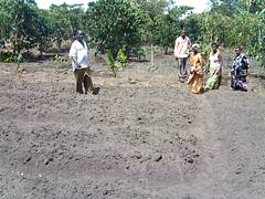 Mugereka Nursery
